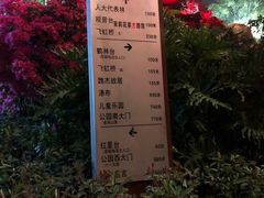 -金鸡山公园