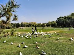 -安立路(地铁站)