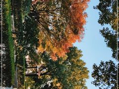 -枫桥景区