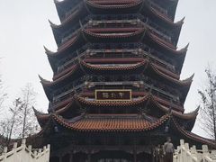 -铁山坪森林公园