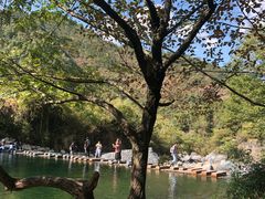 -石台牯牛降景区