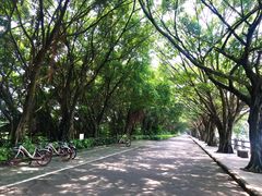 -大湾区中央湿地公园