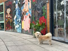 -漕溪路(地铁站)