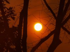 -重庆市江北嘴中央商务区中央公园