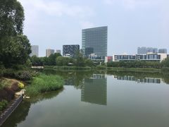 -大兴滨河森林公园