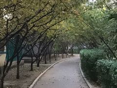 -辽宁大学(崇山校区)