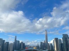 -莲花山公园