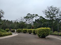 -白沙门生态公园