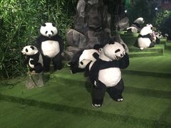 -成都泰迪熊博物馆
