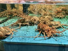 -阿伟海鲜楼·福建菜(延寿店)