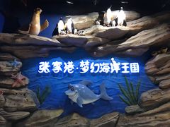-梦幻海洋王国(吾悦广场张家港店)