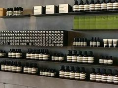 -悉尼歌剧院