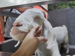 -上海大自然野生昆虫馆(东方明珠·爬宠昆虫探索中心)