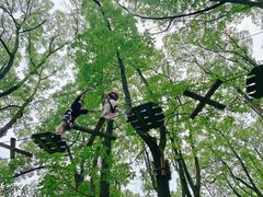 -WeLope紫金山探险公园
