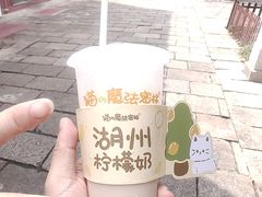 -猫的魔法密林(衣裳街店)