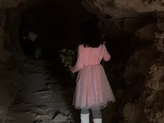 -上海佘山国家森林公园天马山园