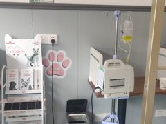 -伟伟宠物医院·瑞派猫友好医院·猫科(光谷店)
