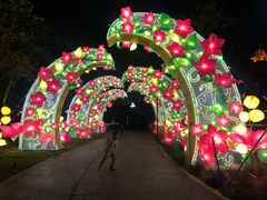 -映月湖公园