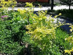 -万利美食生态园