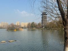 -洋湖国家湿地公园