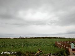 -天津东丽湖风景区