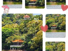 -深圳市中科院仙湖植物园