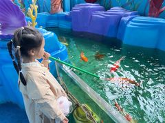 -海合安成都极地海洋公园