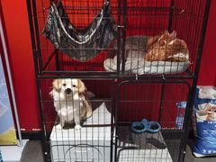 -王扯火胖哥烤生蚝(眉山首店)