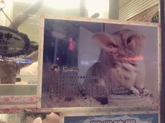 -龙猫仔乐园(惠福东路店)