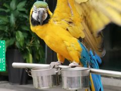 -重庆市江北嘴中央商务区中央公园