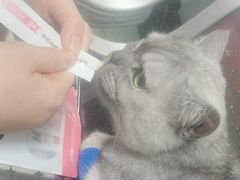 -美美宠物诊疗中心·异宠·骨科(滨江东信分院)
