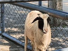 -长白岛森林公园