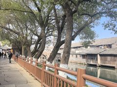 -乌镇东栅景区