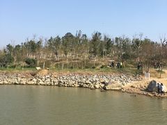 -瑶湖郊野森林公园