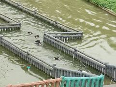 -湖南湘都生态农业园