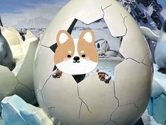 -海合安天津极地海洋公园