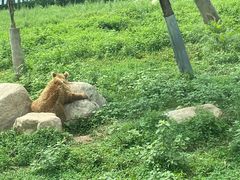 -西安秦岭野生动物园