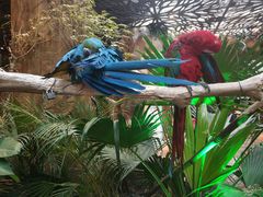 -杭州开元森泊度假乐园