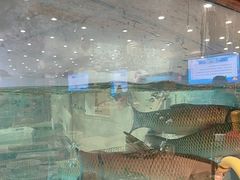 -海晖酒楼·顺德鱼生(荣华店)