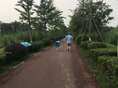 -白鹭湾湿地公园