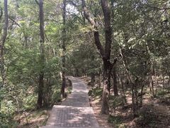 -紫金山山顶公园