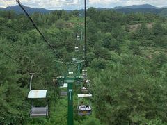 -磬锤峰森林公园