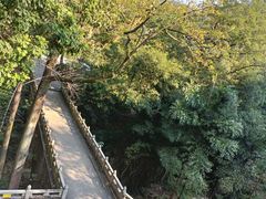 -飞霞风景名胜区