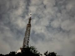 -合肥野生动物园