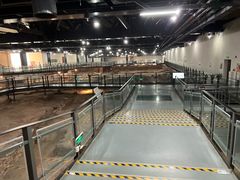 -南越王博物院(王宫展区)