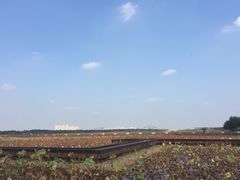 景点-东丽湖风景区