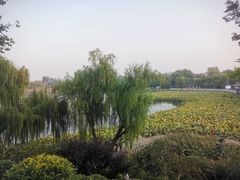 -郭守敬纪念馆