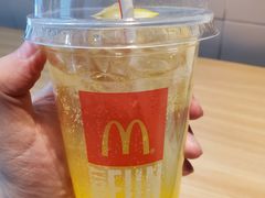 -麦当劳(保定裕华路店)