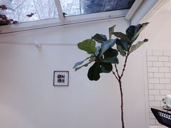 大堂-Onirii Coffee(长乐路店)