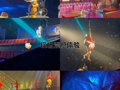 -重庆国际马戏城